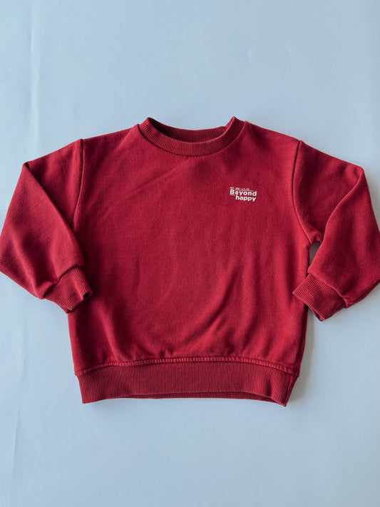 Pull zara - 18-24mois / 92cm